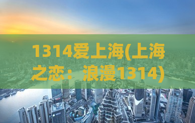 1314爱上海(上海之恋：浪漫1314)